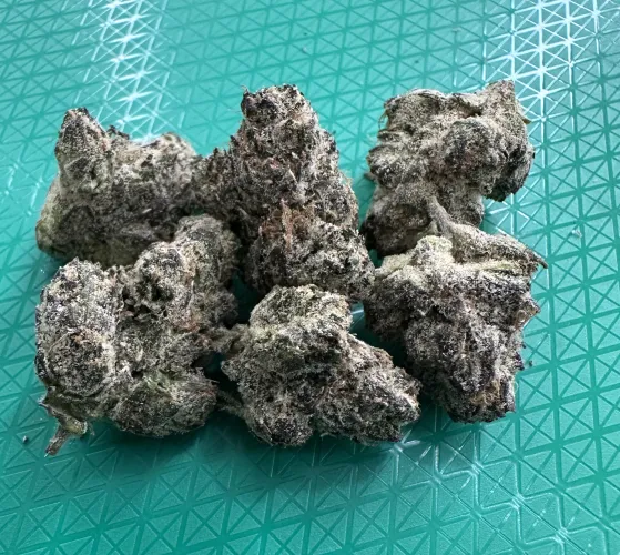 Good morning!  N Dallas