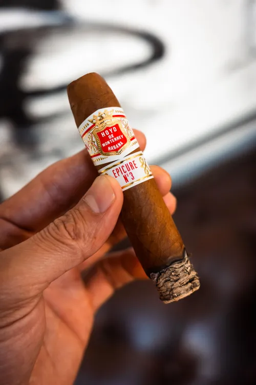 Hoyo de Monterrey Epicure No. 3