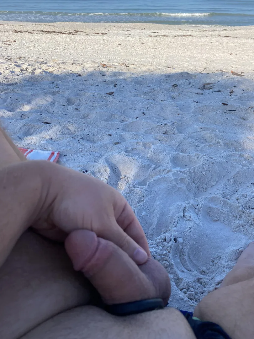 Morning dick on the beach