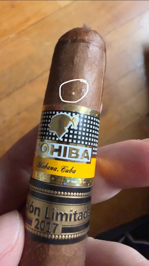 Please tell me this isn’t a beetle