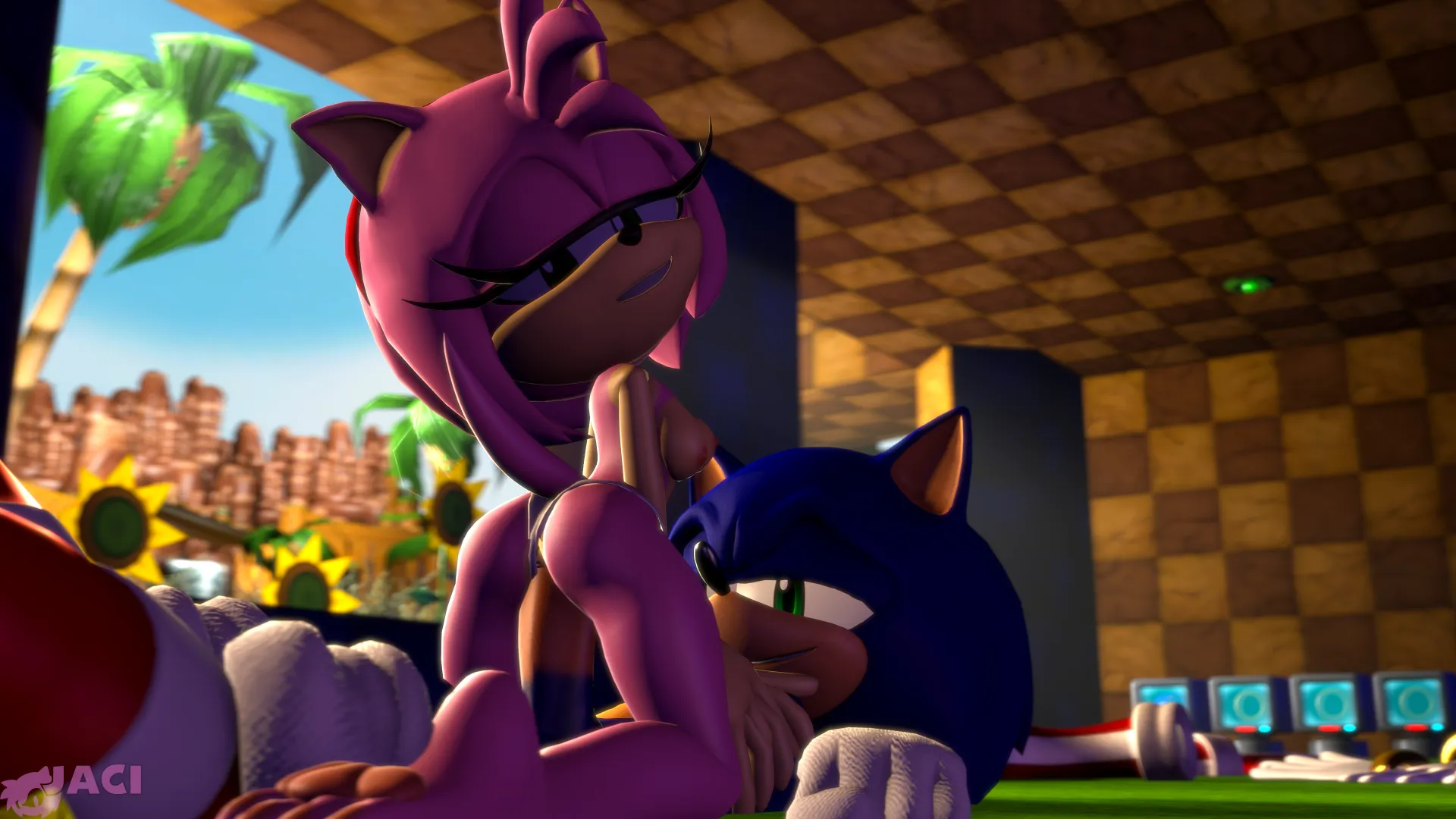 AmyxSonic Cowgirl (Jaci)