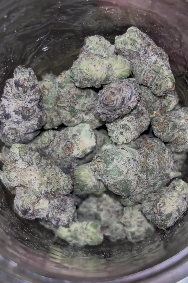 DG “Strawberry Panda Gelato”