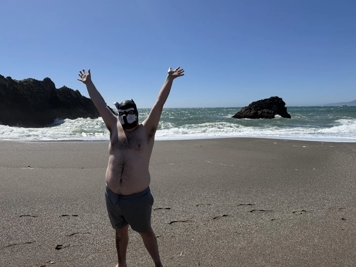 Free puppy, and free puppy