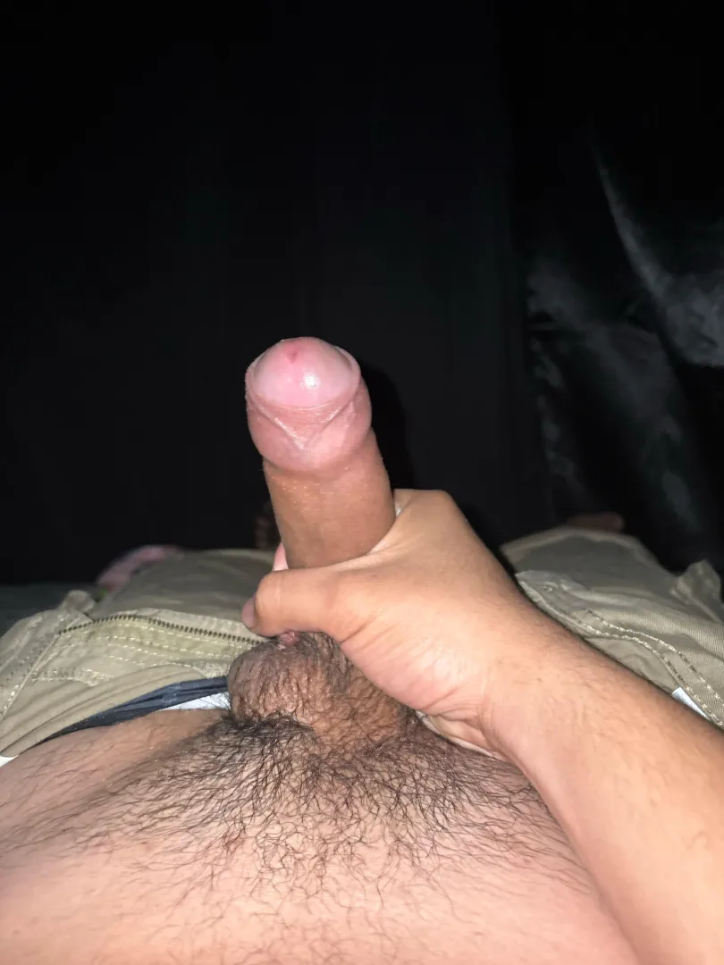 M19