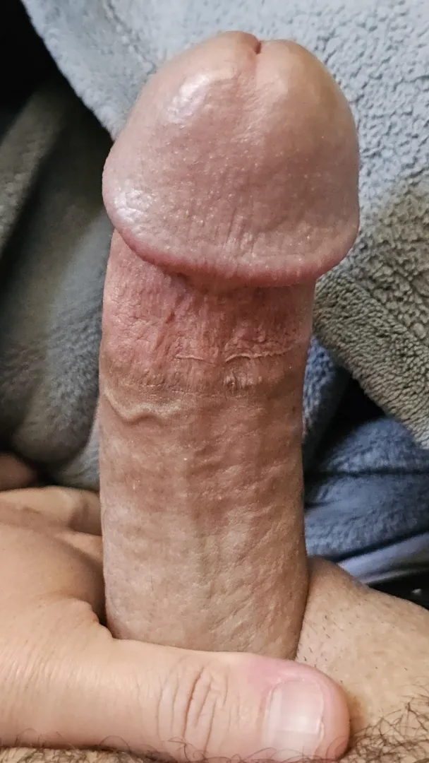 Morning wood