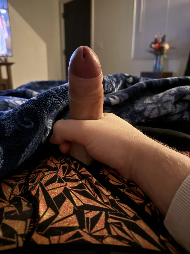 31m looking to chat and have some fun!