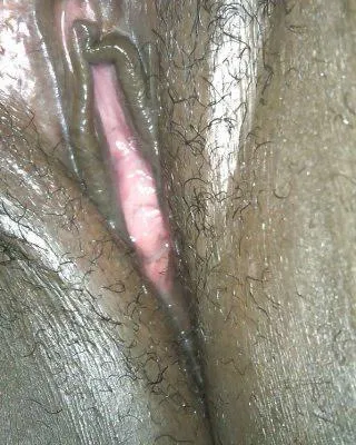 34 [F4M] #Florida BBC in my GUTS‼️