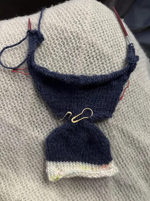 Is this where I share my taxidermy project?