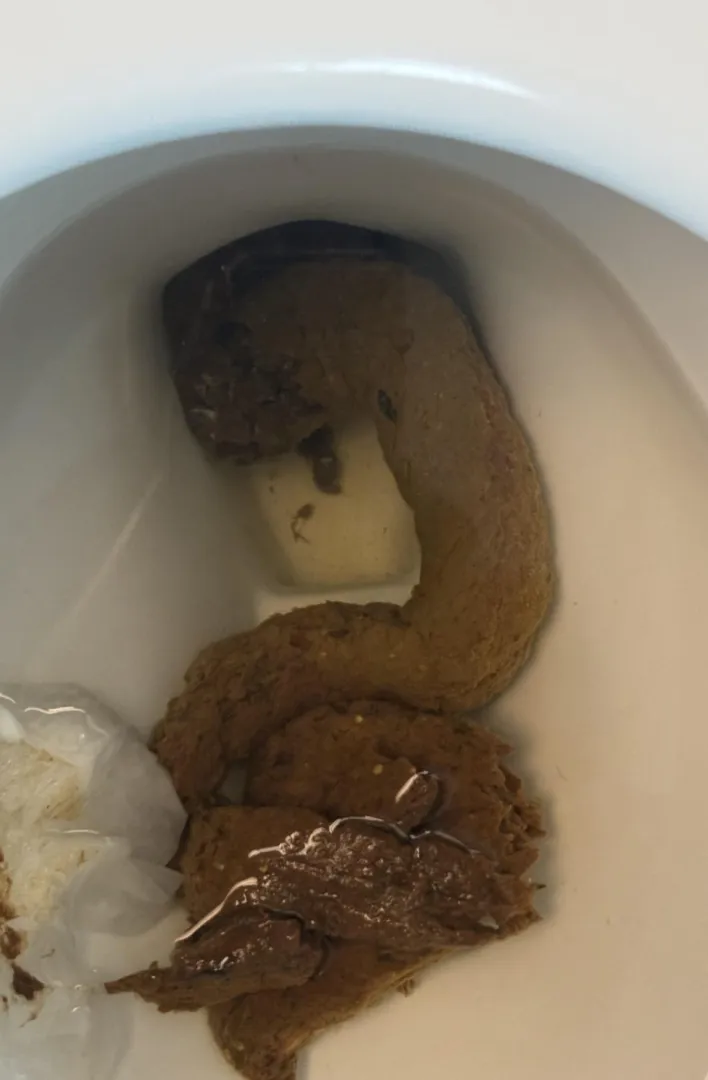 Left this one in the toilet for you to be surprised with ;)