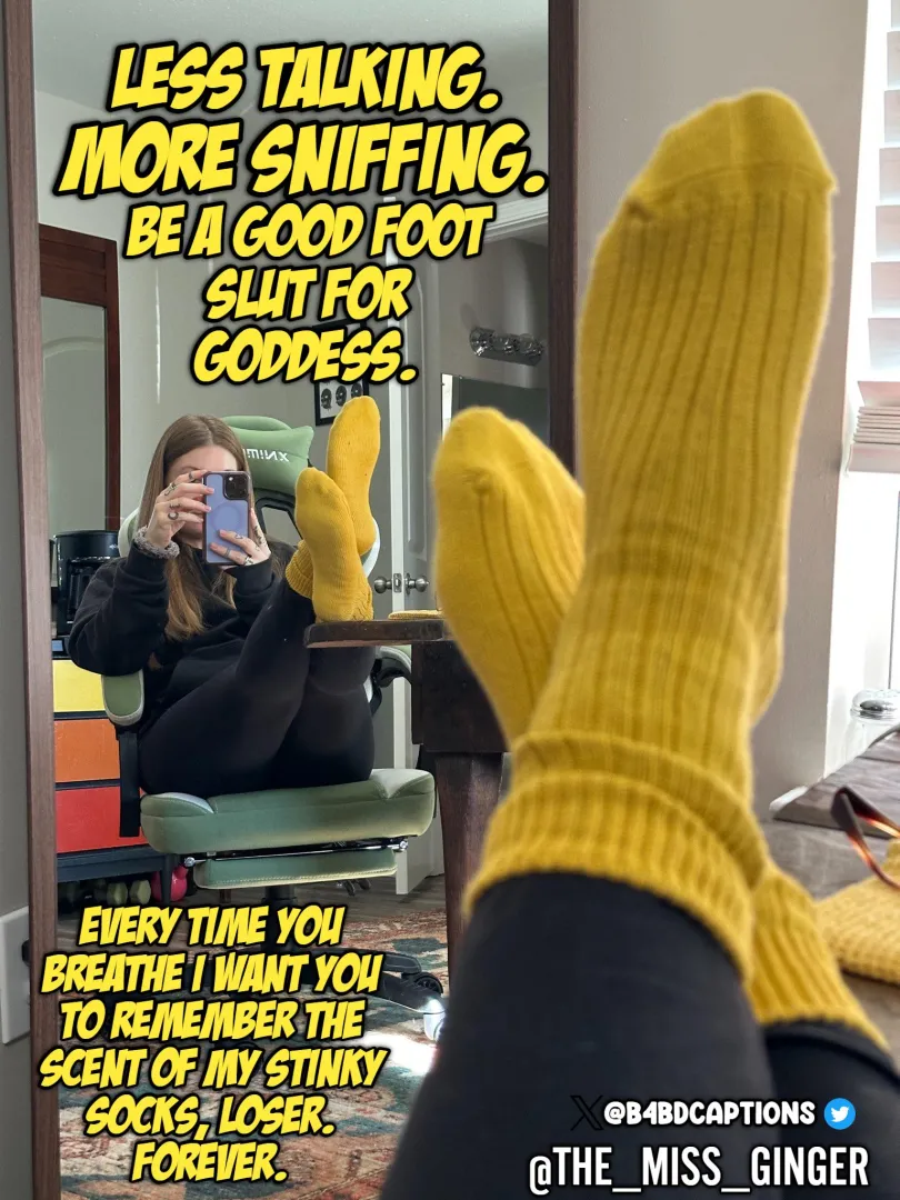 Less talking, More sniffing.