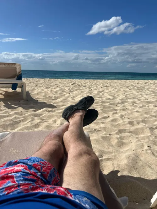 [M4A] Regal Princess - now