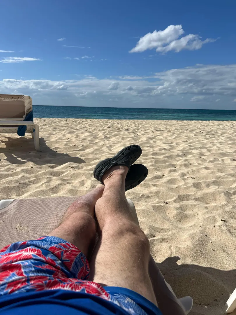 [M4A] Regal Princess - now