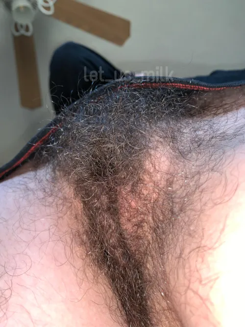 Only serious hairy pussy lovers can take this much hair