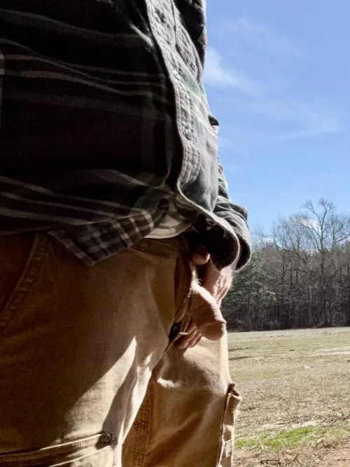 Out on the farm, there are cocks everywhere