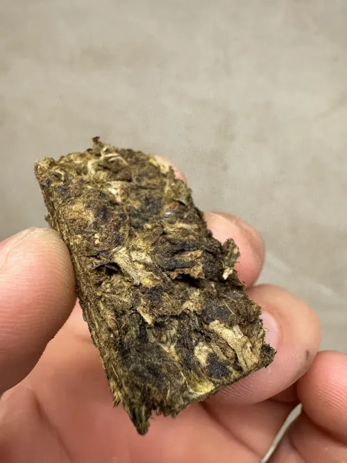 Pren feio mas gosto bom e chapante