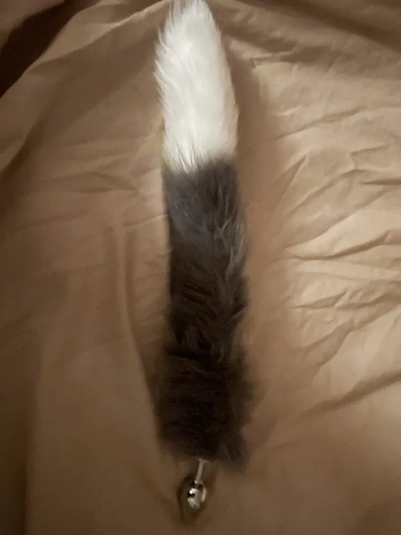 puppies plug arrived today :3