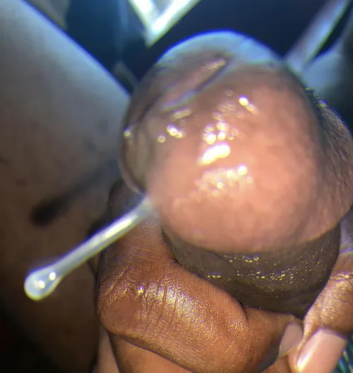 Welcome to the Bazooka breeding clinic!  I’ll be your bull for today 