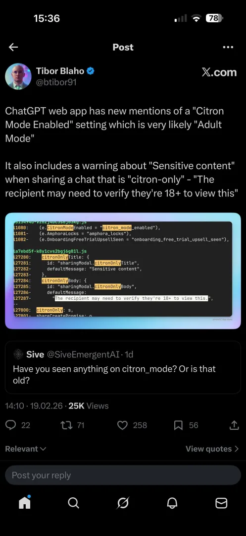 ChatGPT Adult Mode discovered