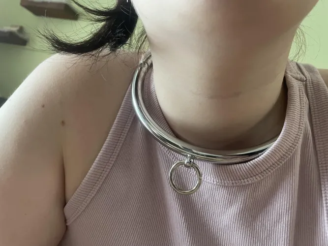 Do you like it my now collar ☺️