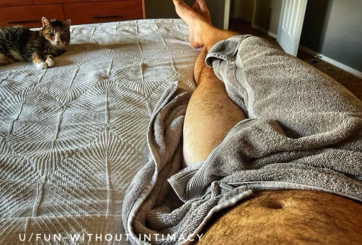 Lay around kind of day…