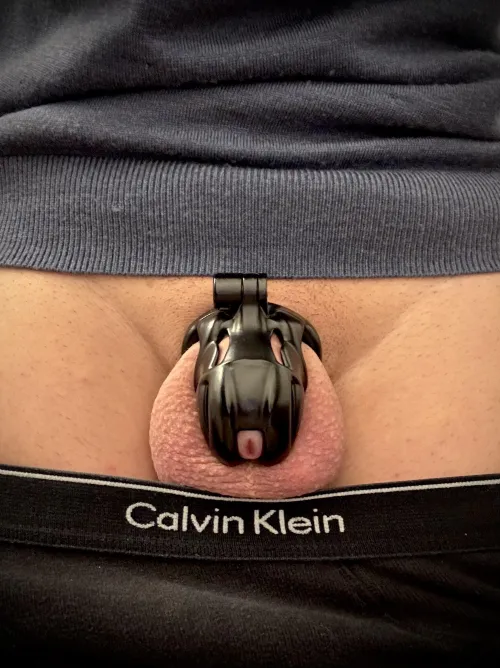 Sweater and cage weather