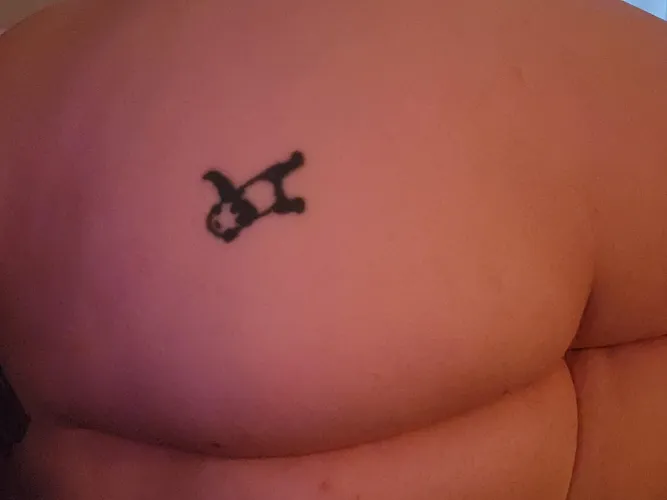 The panda is the perfect target