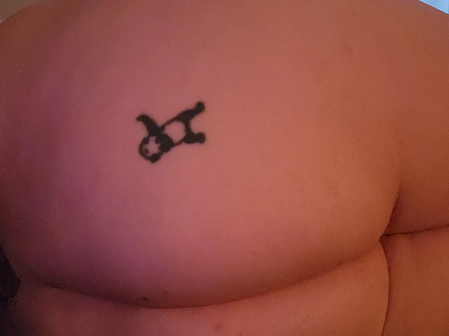 The panda is the perfect target