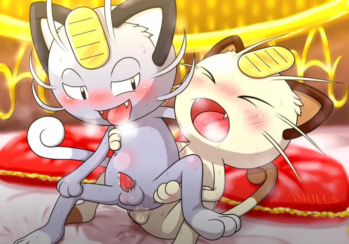 2 freaky kitties (unknown)