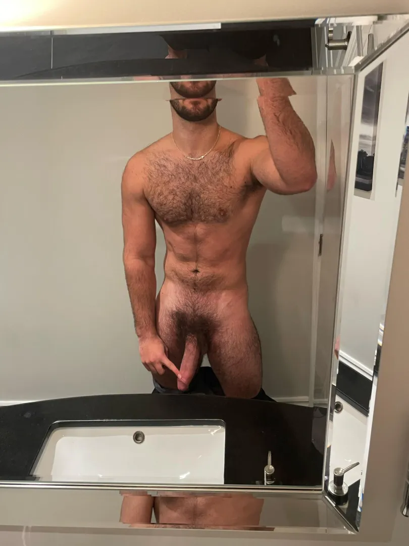20yo hung stud ready to breed you