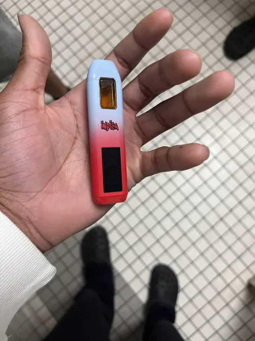 Anyone got any guess what this is