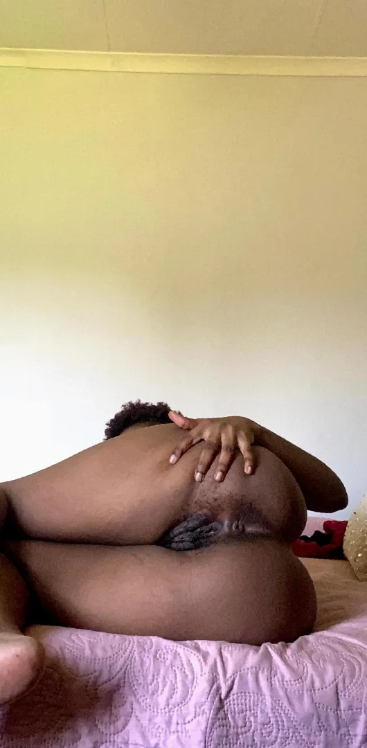 Ebony breeding material