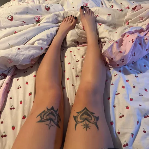 good morning (✯◡✯)