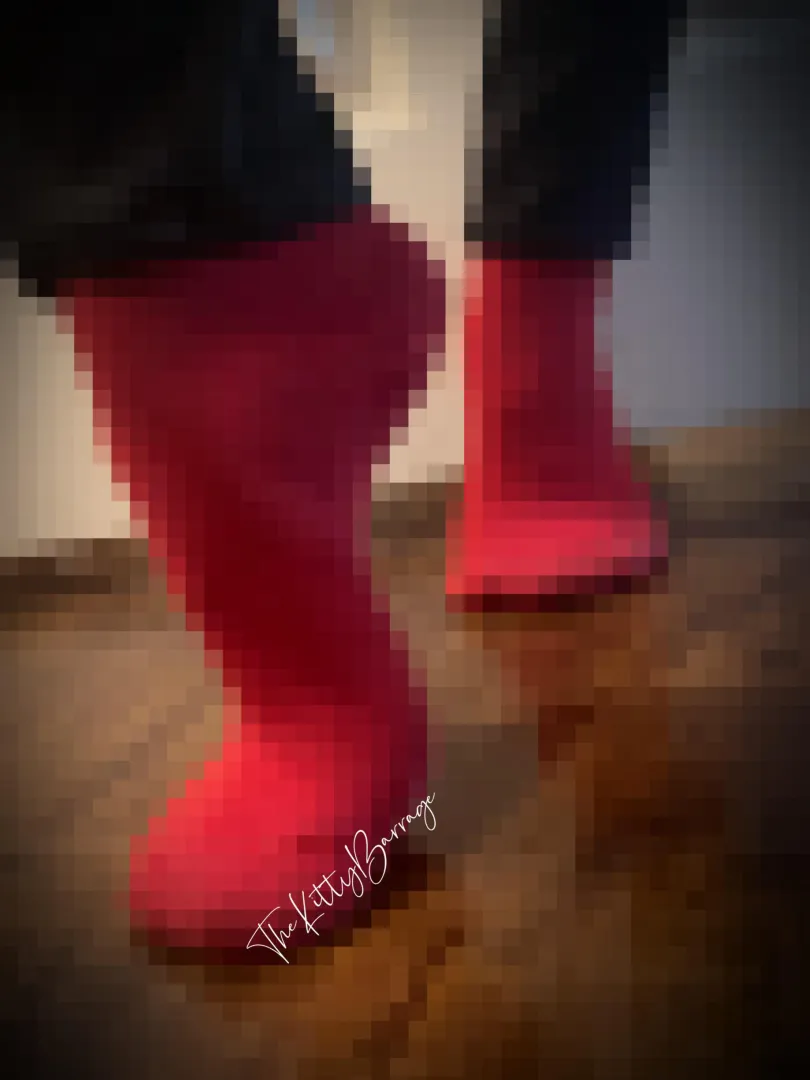 Happy lunar new year 