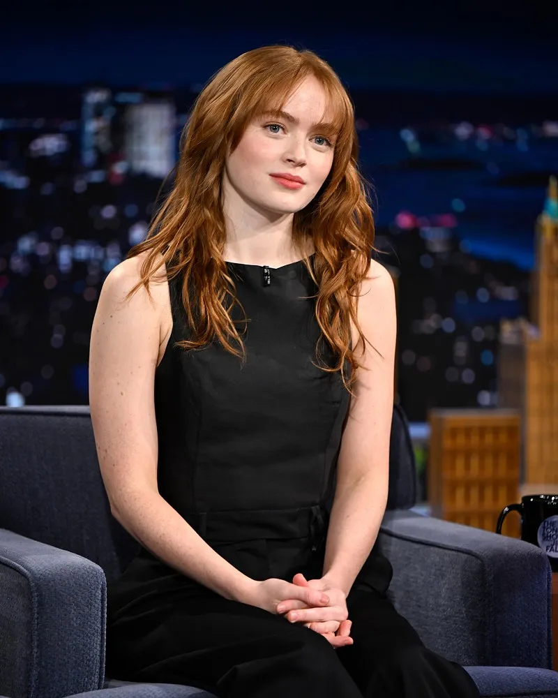 How do you picture you with Sadie? (Details)