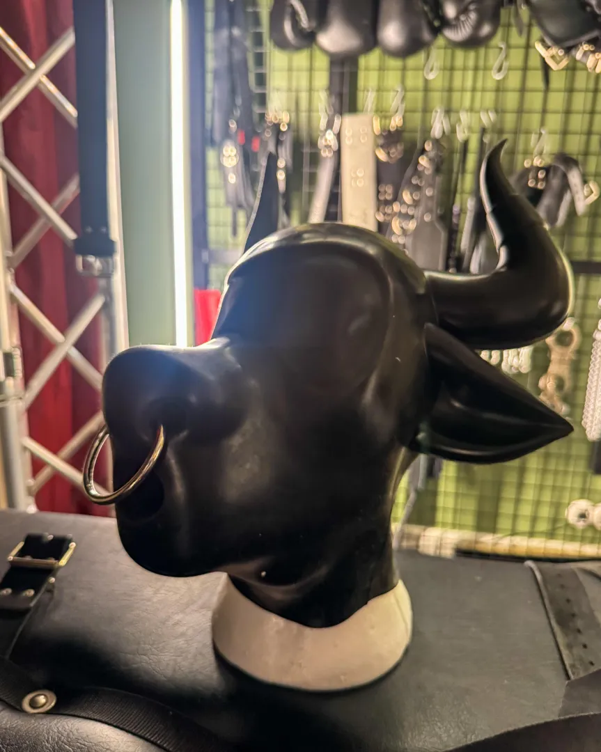 Shining a Furrjoi hood?