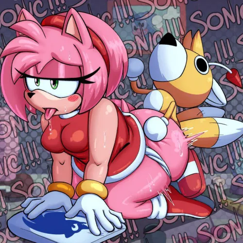 Amy Rose x Tails (endlessfin) [Sonic the Hedgehog]