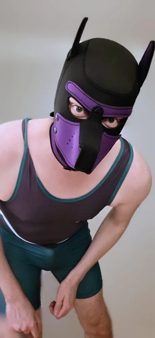 Arf! Who wants to wrassle?