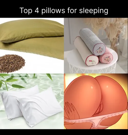 Choose your favorite pillow [Roll To Seduce]