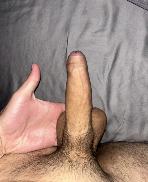 Looking for Oral Buds