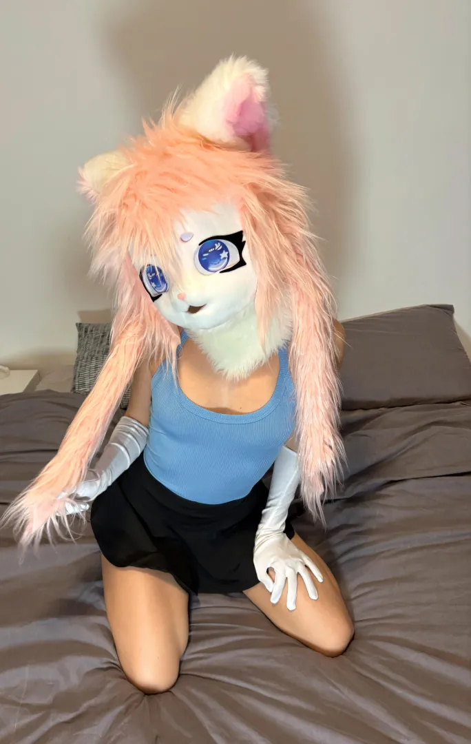 Nyaa~ author: misi.miisii