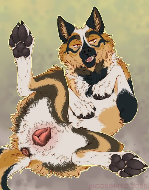 Smash or Pass? ;3 (incorgnito) [f]