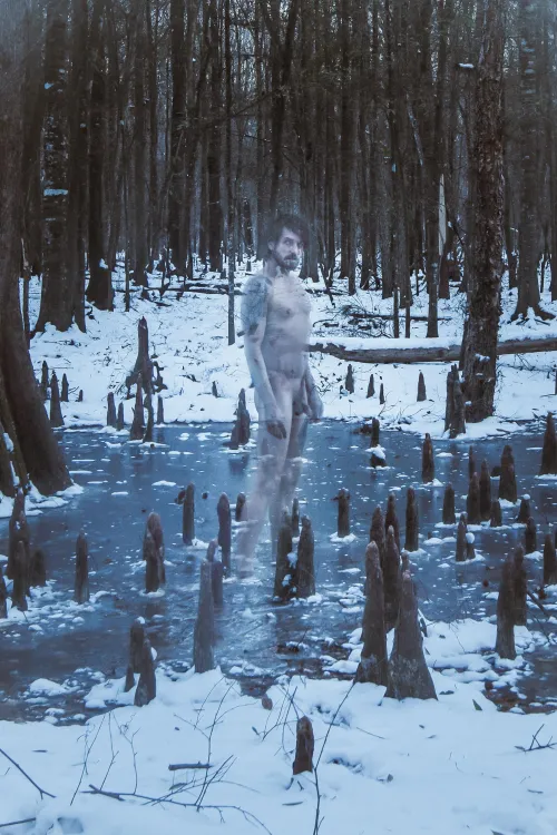 The silence of snow captivates the ghost of the swamp