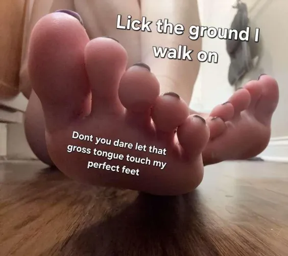 and be thankful you get anything at all.