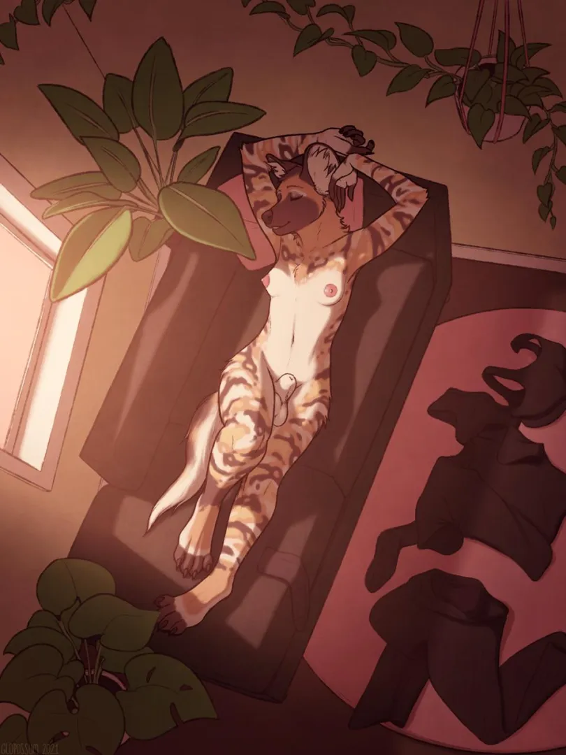 Another place (Glopossum)