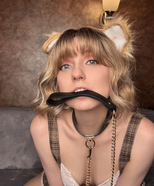 Cute puppy wants you to take control of her