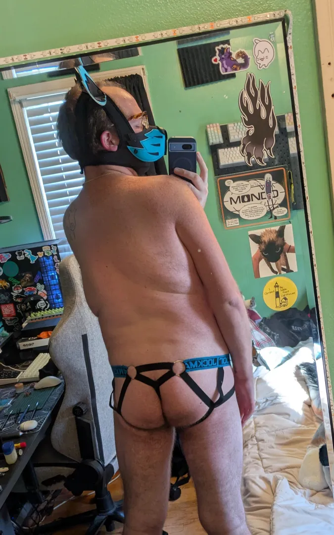 Finally hit 50° in the Midwest! Pupper got comfy