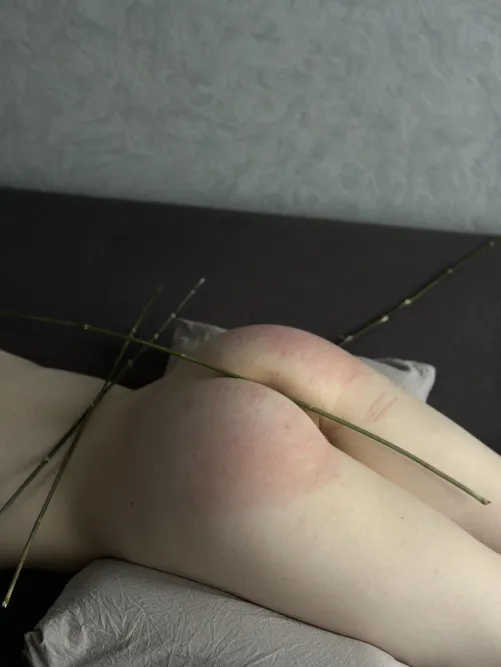 Punishment for disobedience. 1 violation = 1 blow