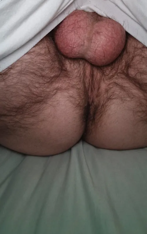 Trimmed cheeks full balls