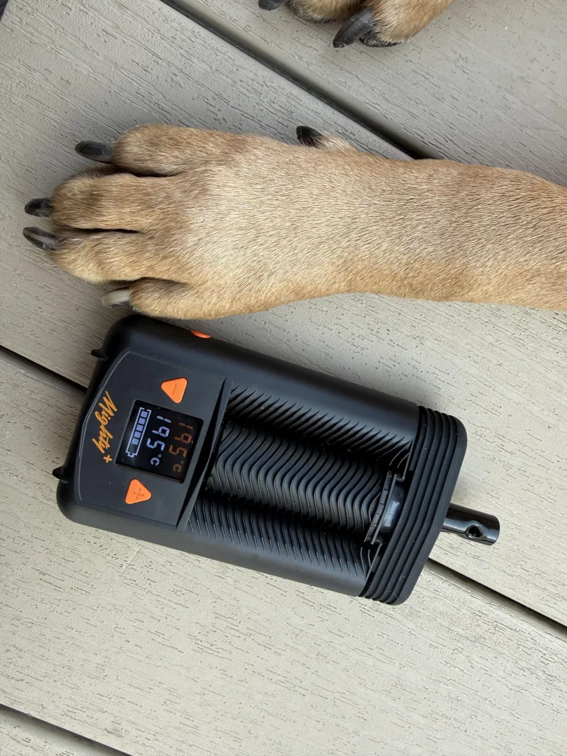 with a friend today.