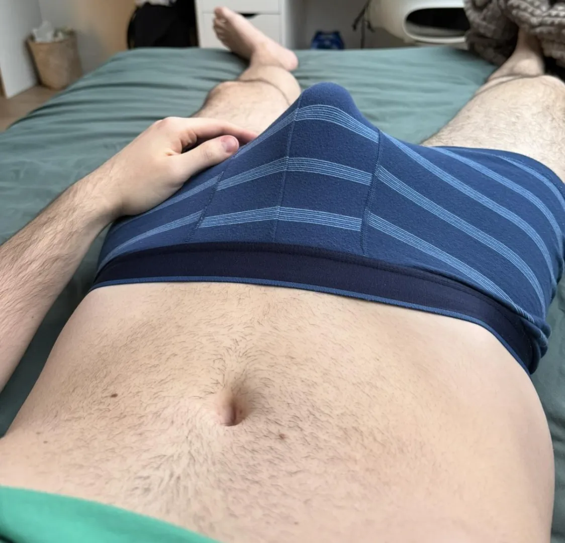 (26) nivelles / hal / brussels